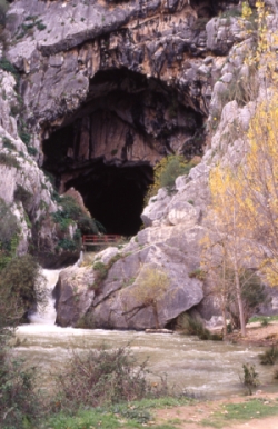 Cueva del Gato