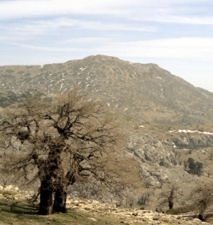 Sierra de las Nieves